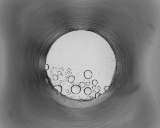 X0000114230048200911061536