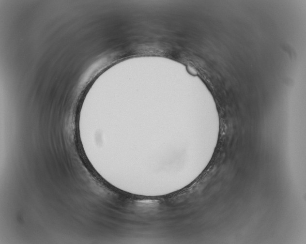 X0000114230053200911061536