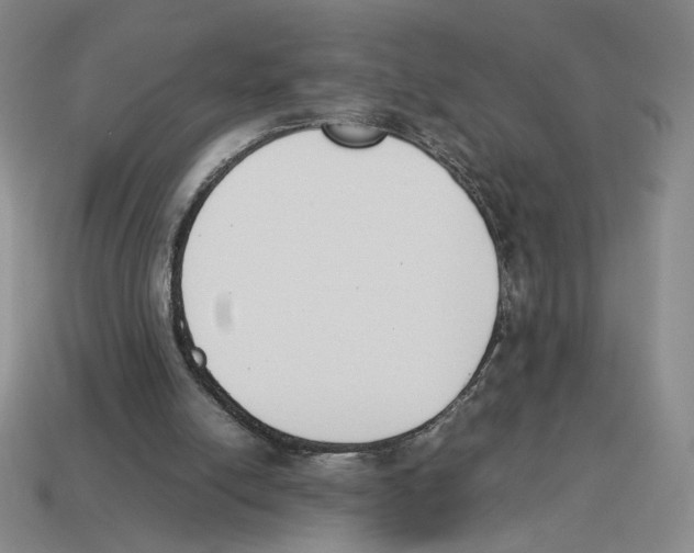 X0000114230054200911061536