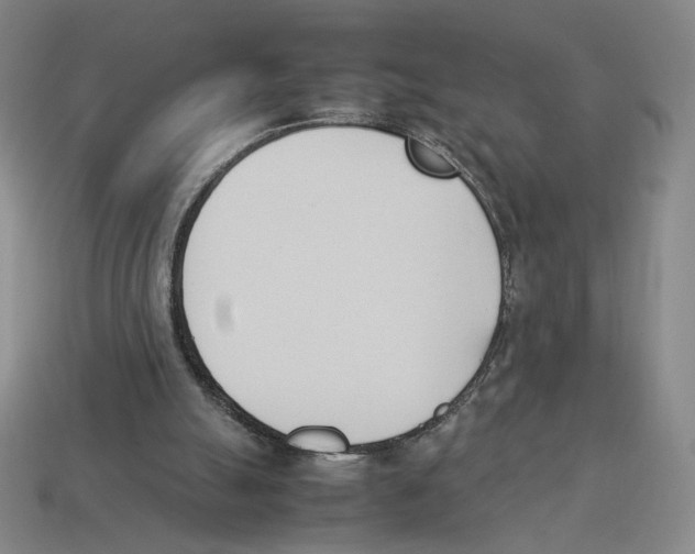 X0000114230055200911061536