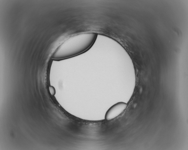 X0000114230056200911061536