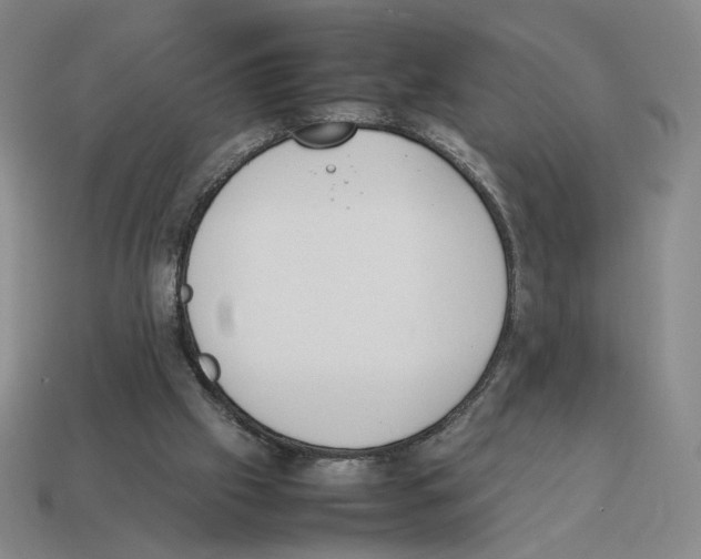 X0000114230057200911061536