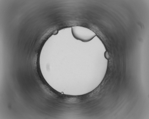 X0000114230058200911061536