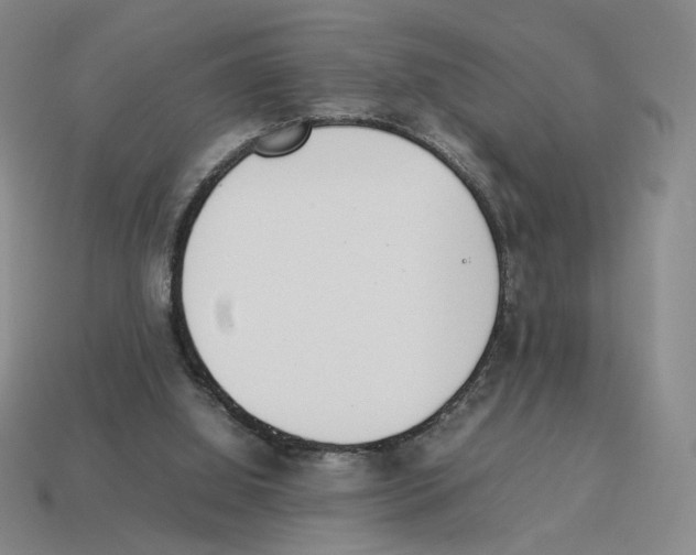 X0000114230060200911061536