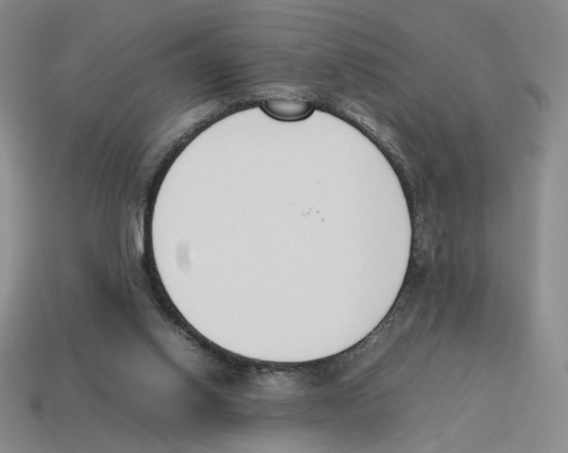 X0000114230062200911061536