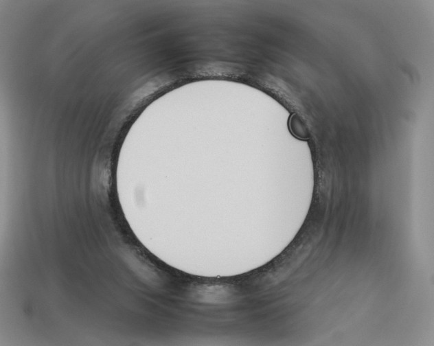 X0000114230063200911061536