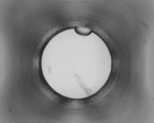 X0000114230064200911061536