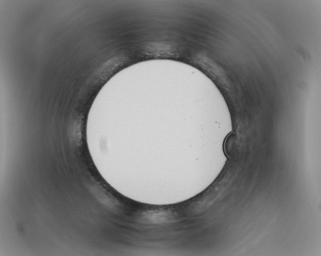 X0000114230065200911061536