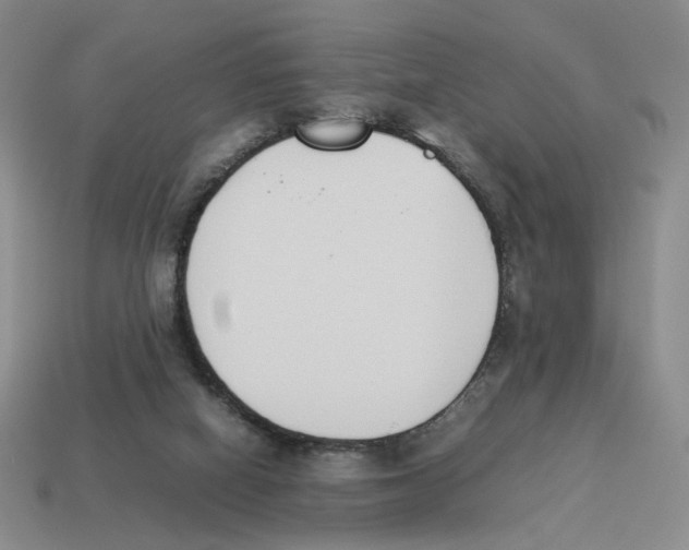 X0000114230066200911061536