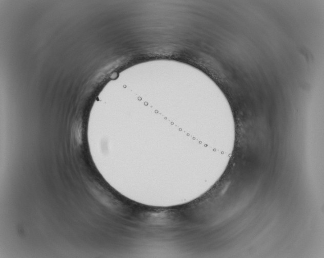 X0000114230068200911061536