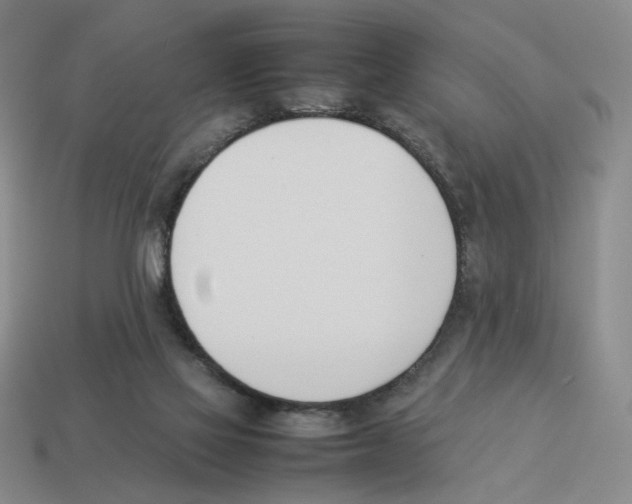 X0000114230069200911061536