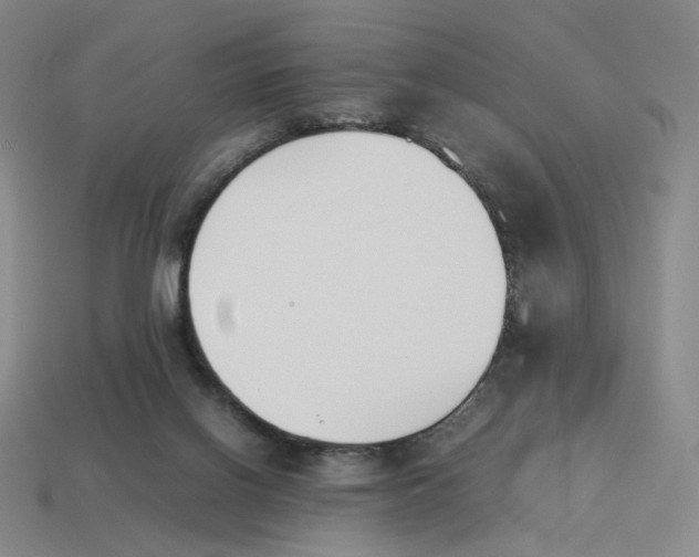 X0000114230070200911061536