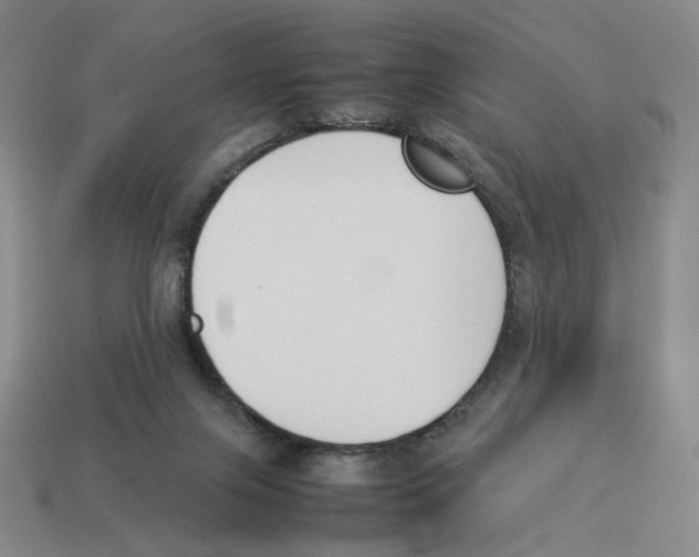 X0000114230071200911061536