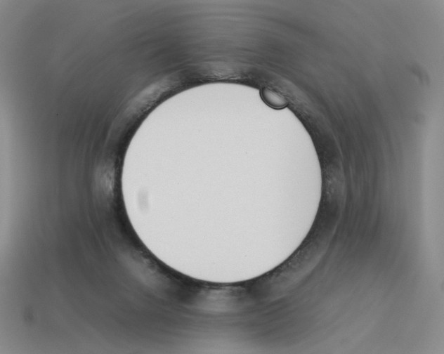 X0000114230072200911061536