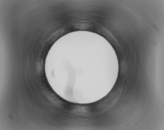 X0000114230073200911061536