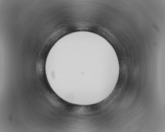 X0000114230074200911061536