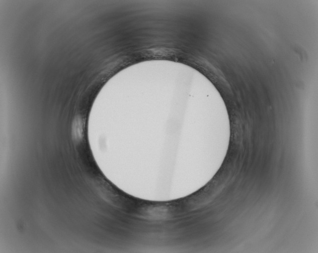 X0000114230075200911061536