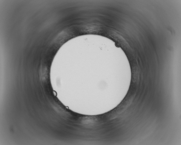 X0000114230077200911061536