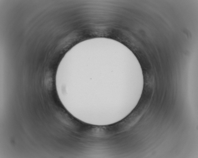 X0000114230080200911061536