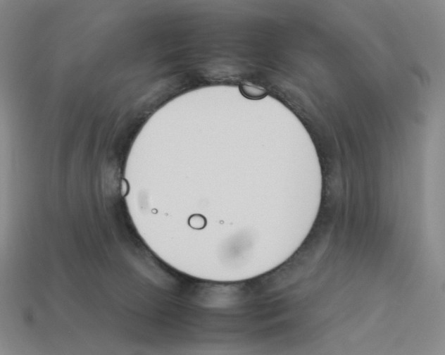 X0000114230081200911061536