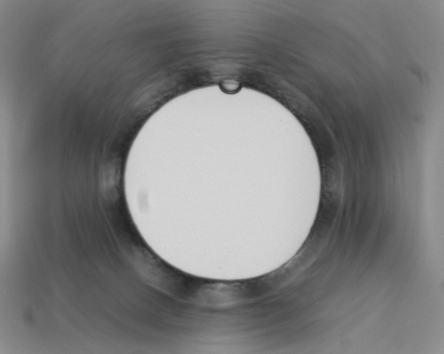 X0000114230082200911061536