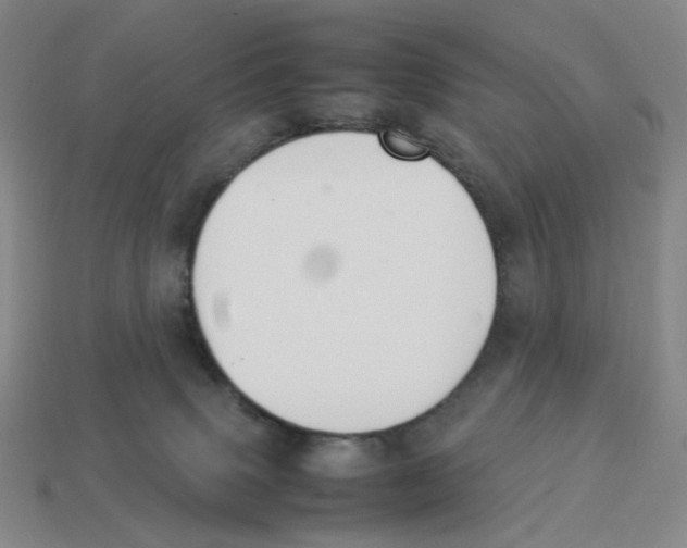X0000114230083200911061536