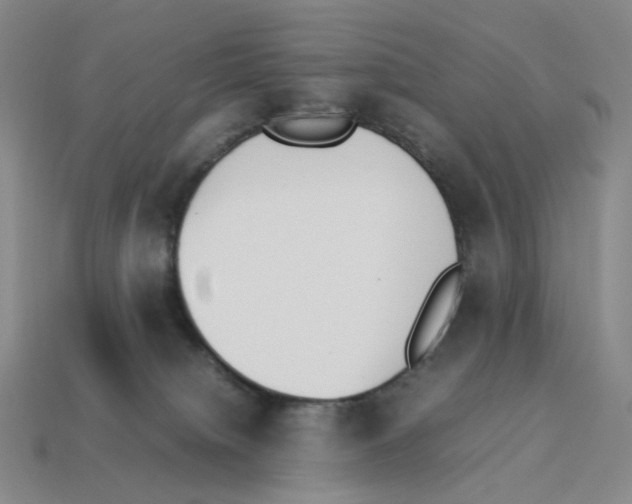 X0000114230084200911061536
