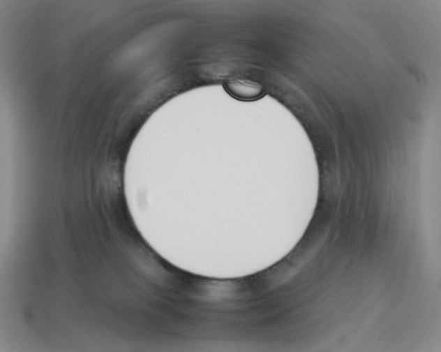 X0000114230085200911061536