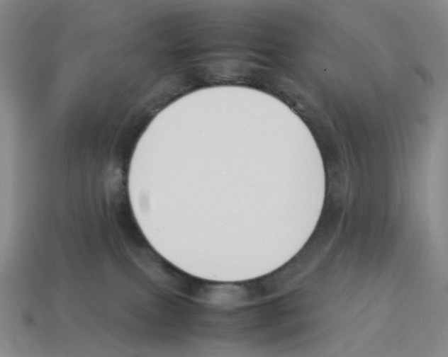 X0000114230087200911061536