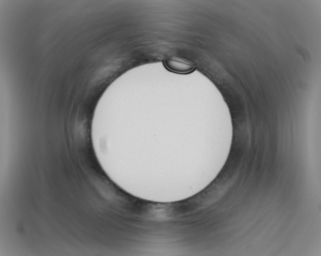 X0000114230088200911061536