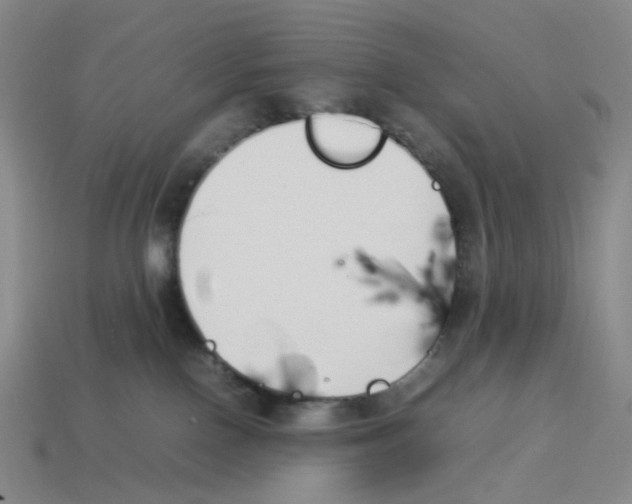 X0000114230090200911061536