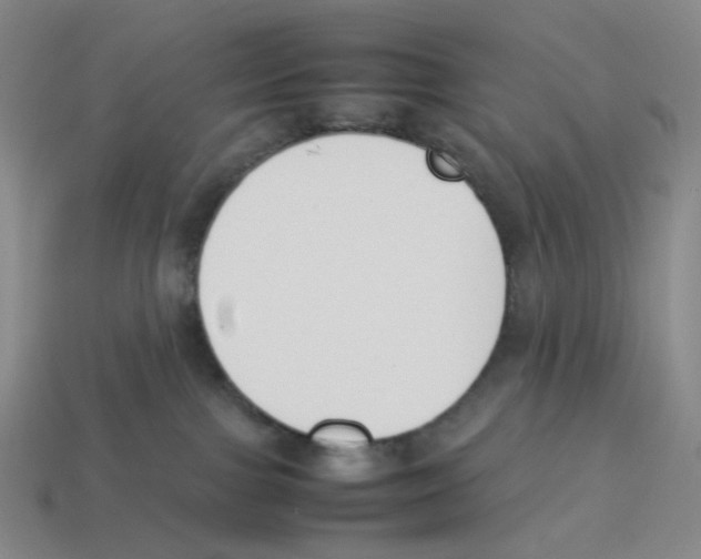 X0000114230091200911061536