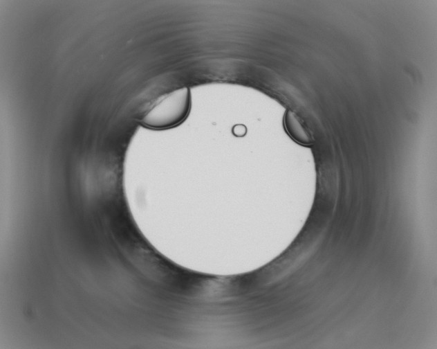 X0000114230092200911061536