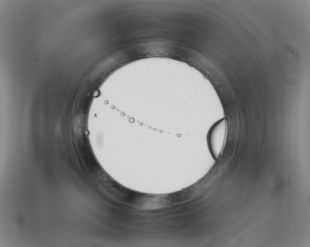 X0000114230093200911061536