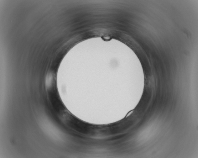 X0000114230095200911061536
