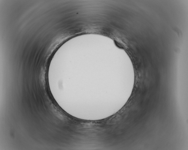 X0000114230098200911061536