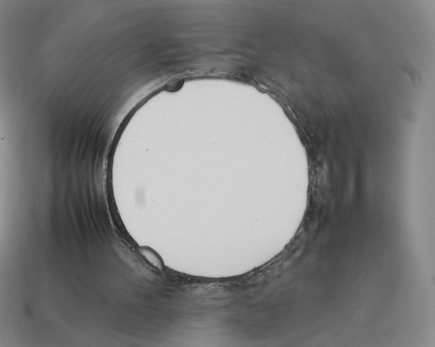 X0000114230100200911061536