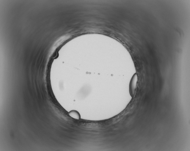 X0000114230104200911061536