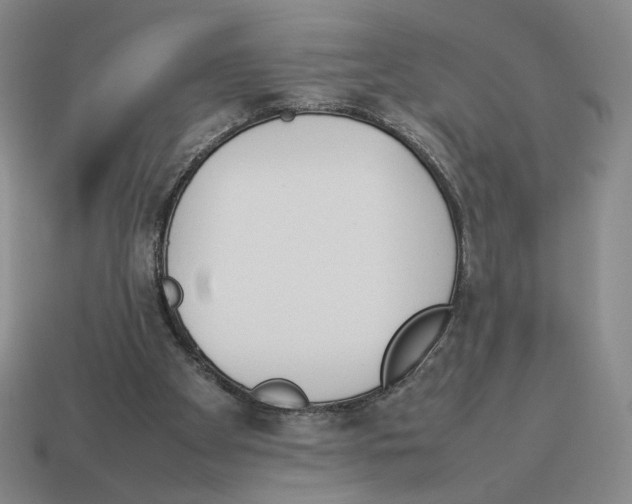 X0000114230105200911061536