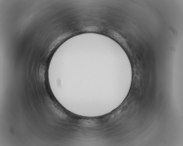 X0000114230106200911061536