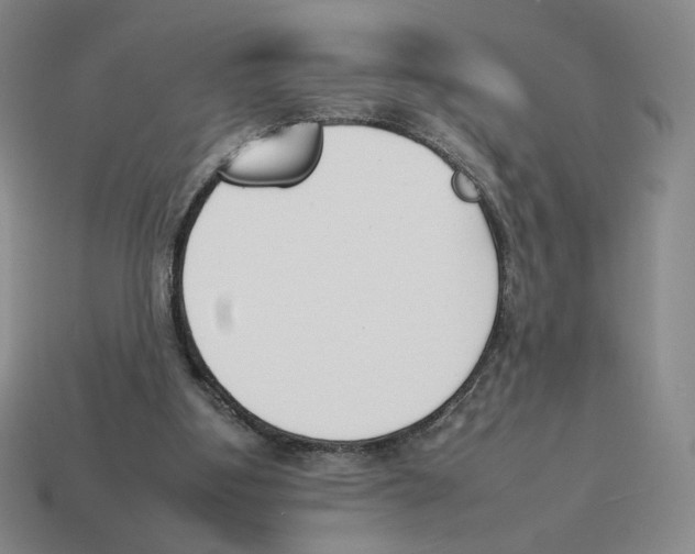 X0000114230107200911061536