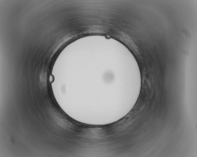 X0000114230108200911061536