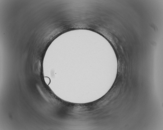 X0000114230109200911061536