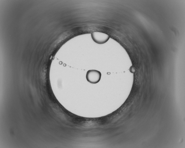 X0000114230111200911061535