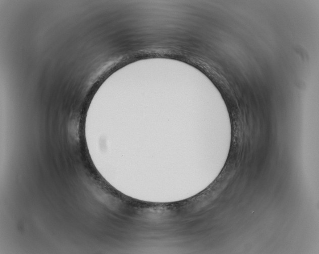 X0000114230112200911061535
