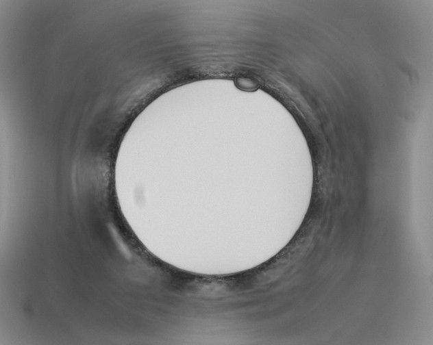 X0000114230113200911061535