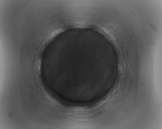 X0000114230115200911061535