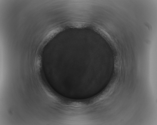X0000114230119200911061535