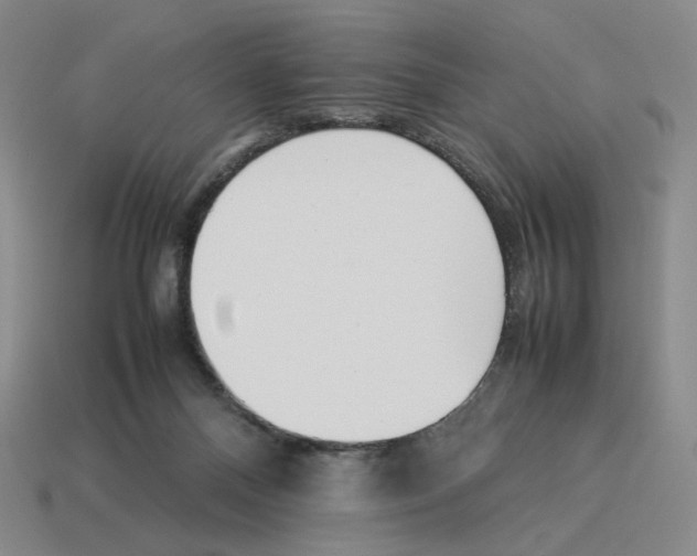 X0000114230120200911061535