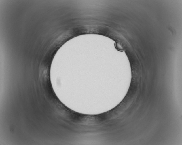 X0000114230123200911061535